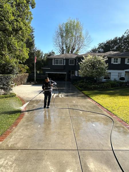 Shine Walk