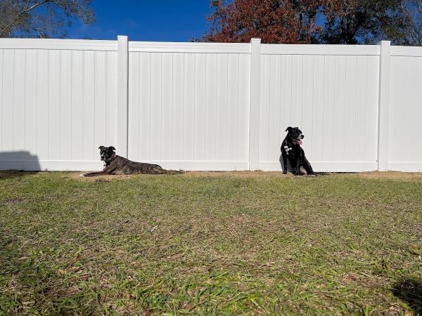 C & S Vinyl Fence Inc.