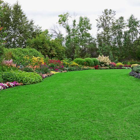 Green is the Color Lawn Care
