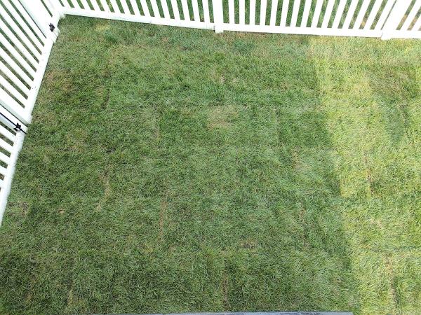 Ground Control Lawn Care