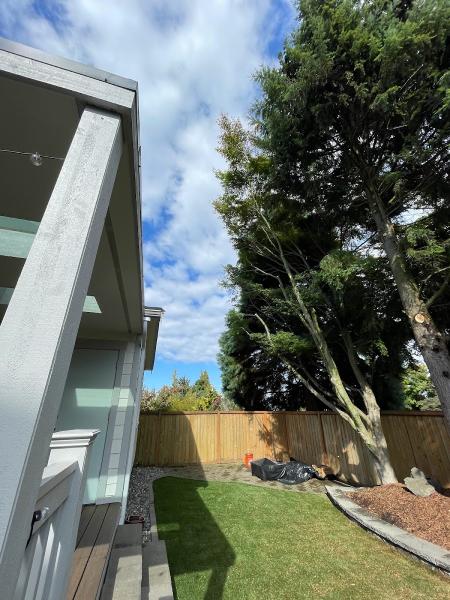 Treemendous Tree Services & Landscaping