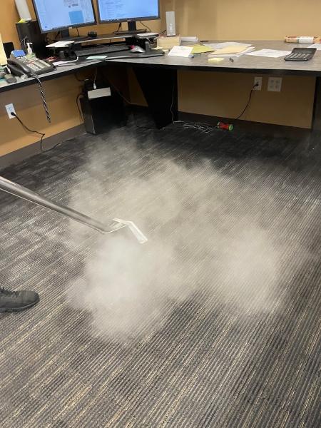 Bear Steam Cleaning