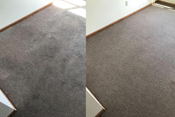 ALL PRO Carpet Cleaning CO