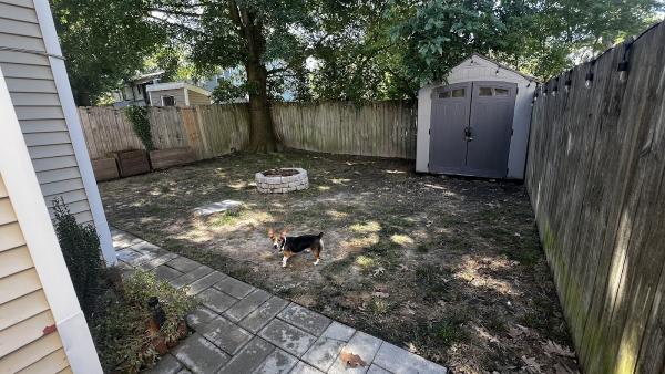 Green Box Landscaping