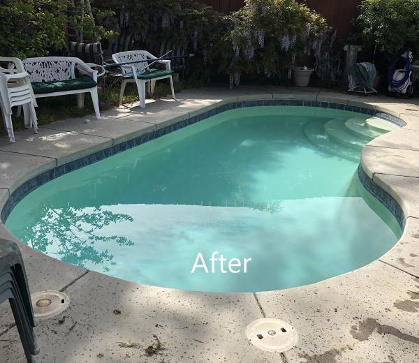 Nearby Pool Service