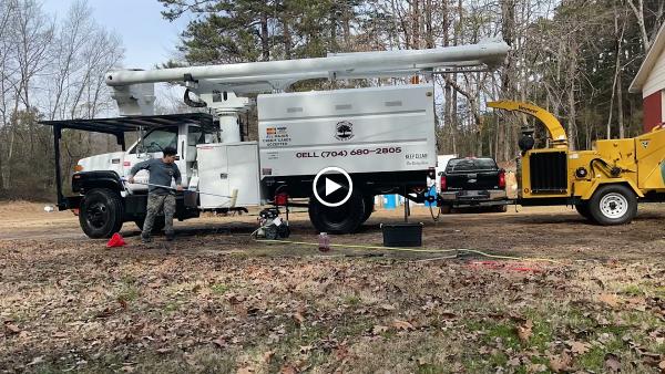 Joe's Tree Care