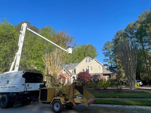 Joe's Tree Care