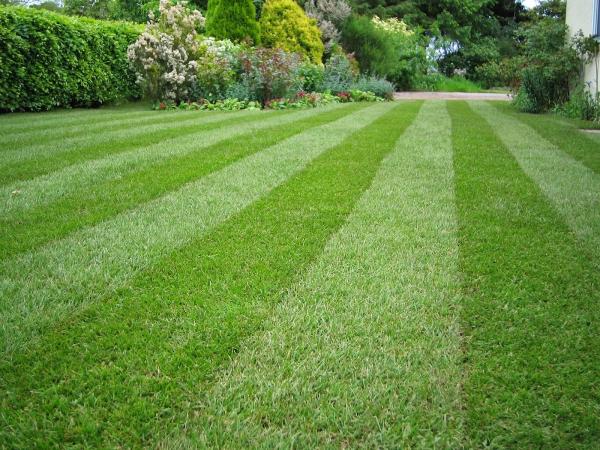 McKenzie's Landscape Maintenance