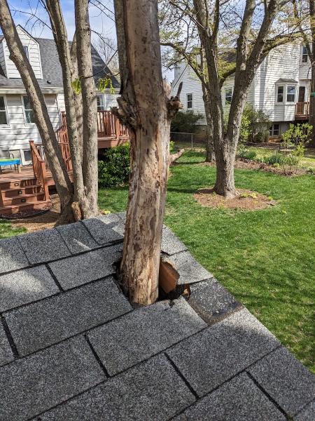 JGL Roofing & Exteriors