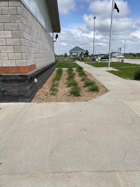 Nolte and Sons Lawn and Irrigation