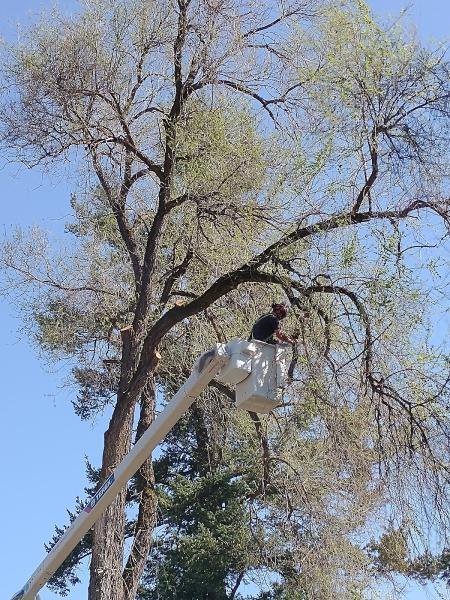 Eric's Tree Services LLC