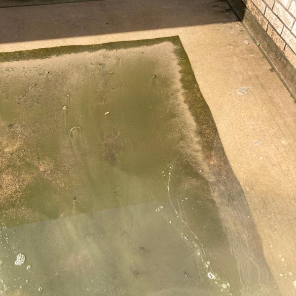 Nortex Pressure Washing LLC