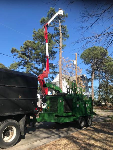Man vs. Tree