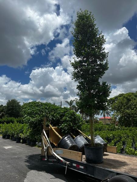 All Terrain Landscaping