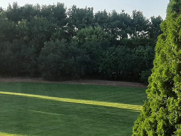 DS Landwork & Forestry Services