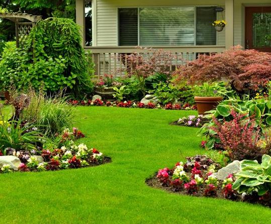 Simas Landscaping