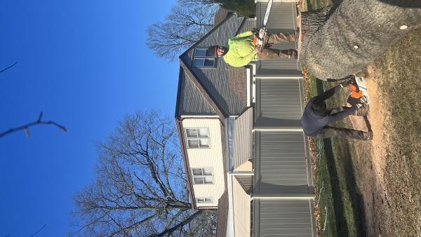 Bucks Tree Care & Landscaping Inc