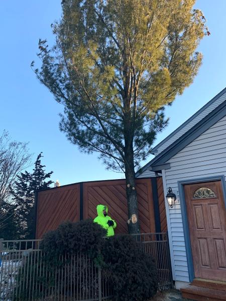 Bucks Tree Care & Landscaping Inc