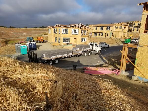 Bay Area Greenscapes