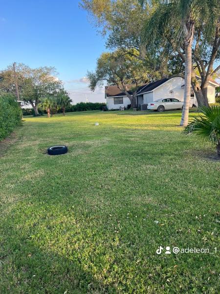 De Leon's Lawn Care & Tree Trimming Services