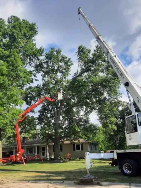 Ghost Tree Service LLC