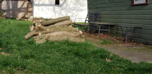 Ghost Tree Service LLC