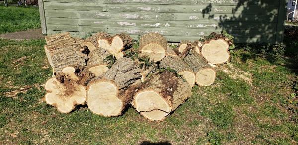 Ghost Tree Service LLC