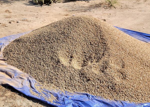 Sonoran Landscaping Materials