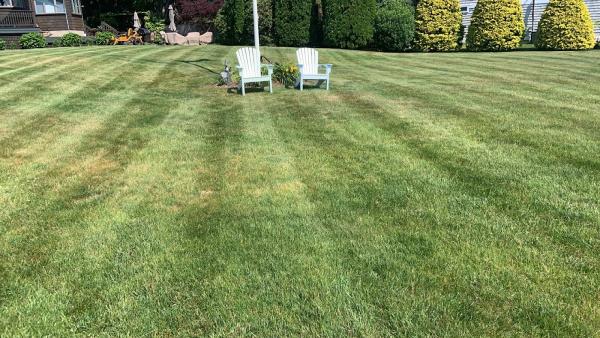J & M Landscaping