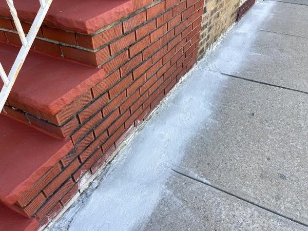 Blayes Pest Control & Termite Service