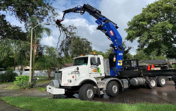Knuckleheads Tree Service