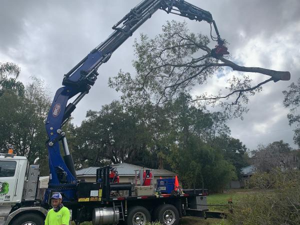 Knuckleheads Tree Service