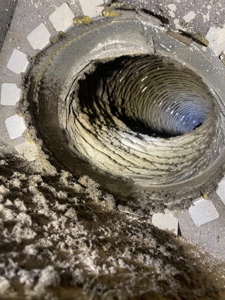 Mold Removal Plus