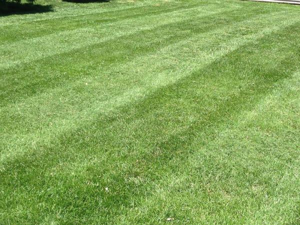 Eb3snowremoval LLC