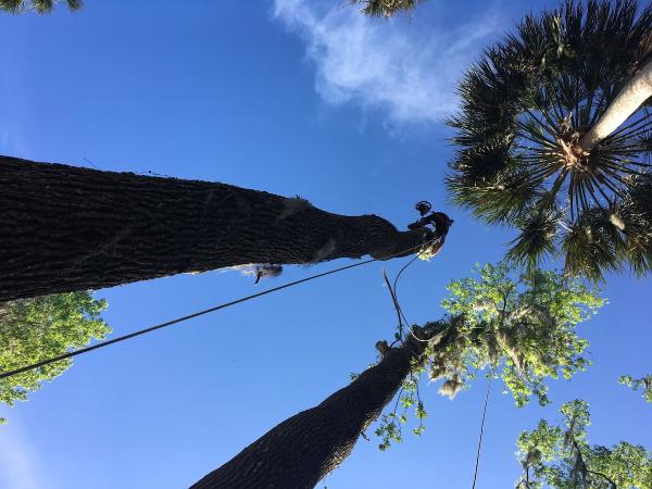 McCroan's Land & Tree Service