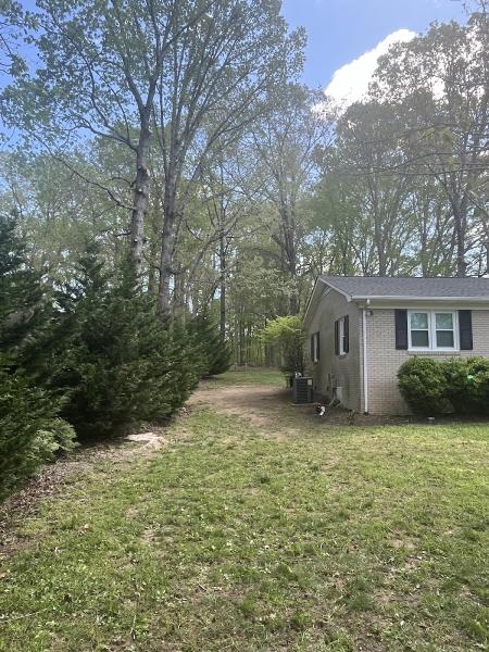 Green Bear Tree Service LLC