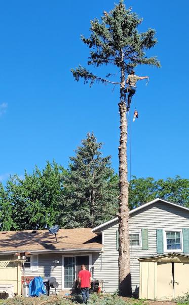 Green Leaf Tree Services Inc.
