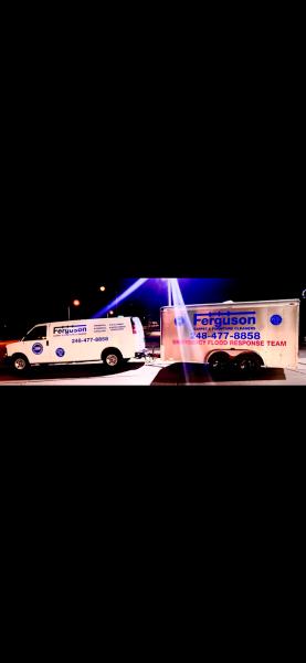 Ferguson Carpet Cleaners