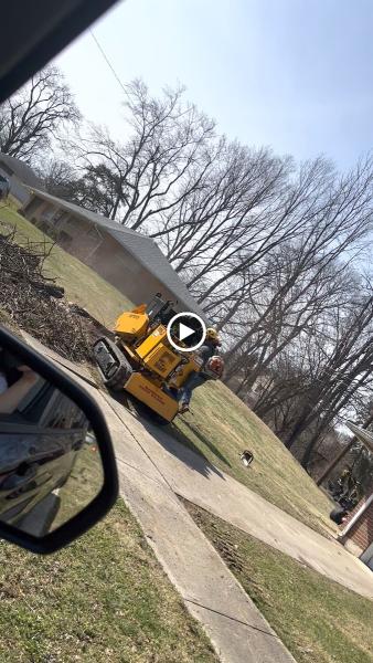 Ohio Valley Tree Experts LLC