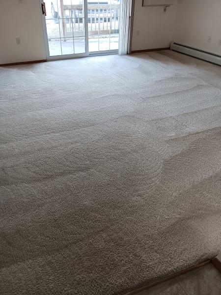 Carpet & Cleaning Services