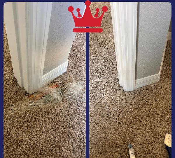 Orlando Carpet Cleaning and Restoration LLC