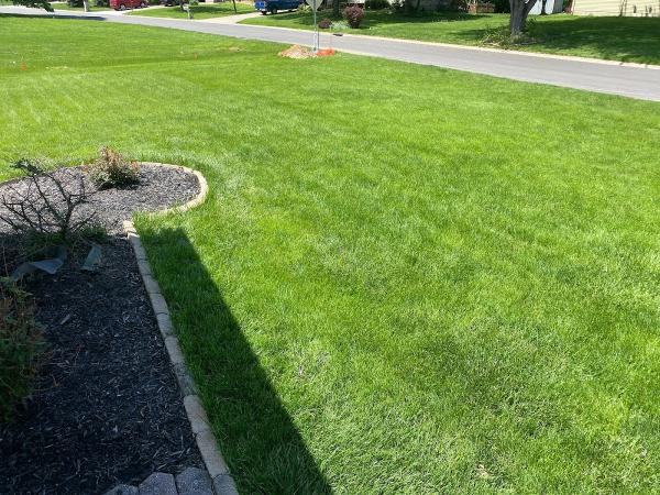 Ziehler Lawn Care