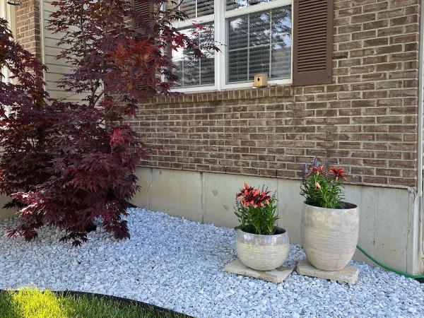 Ezcutzlawncarellc.com