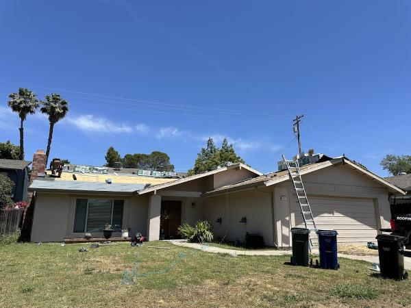 Triark Roofing