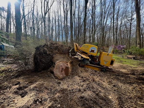Stump Solutions