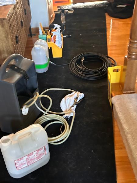 Green Bay Carpet Cleaning