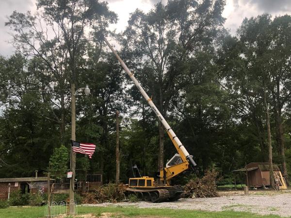 Treemark Services