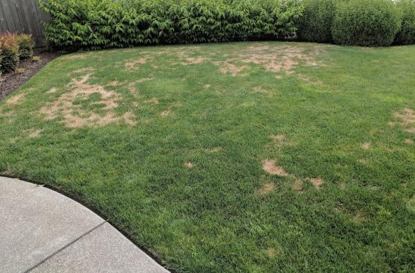 Graham Landscape Design & Maintenance
