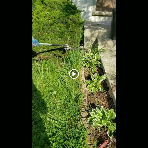 Dun Rite Lawn Maintenance LLC