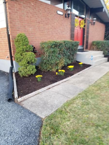 Dun Rite Lawn Maintenance LLC